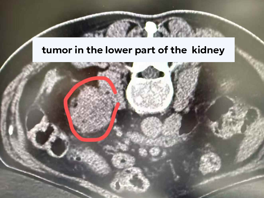 qinb16_131697.png qinb16_131697.png