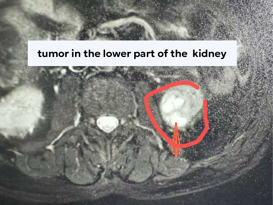 qinb16_436326.png qinb16_436326.png