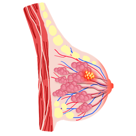 qinb10_580718.png 图片1.png